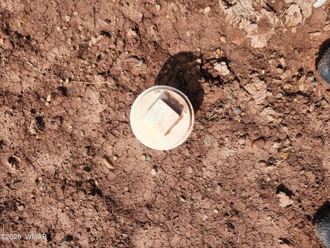 Tiny photo for 1470 E Concho Highway, Concho, AZ 85924 (MLS # 260047)