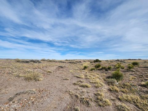 Tiny photo for 1470 E Concho Highway, Concho, AZ 85924 (MLS # 260047)