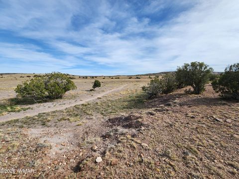 Tiny photo for 1470 E Concho Highway, Concho, AZ 85924 (MLS # 260047)