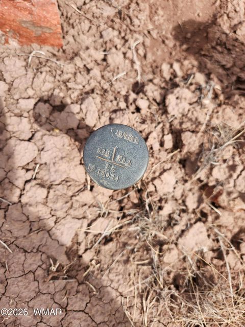 Tiny photo for 1470 E Concho Highway, Concho, AZ 85924 (MLS # 260047)