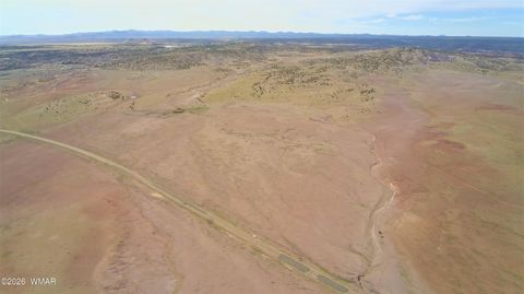 Tiny photo for 1470 E Concho Highway, Concho, AZ 85924 (MLS # 260047)