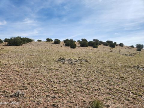 Tiny photo for 1470 E Concho Highway, Concho, AZ 85924 (MLS # 260047)