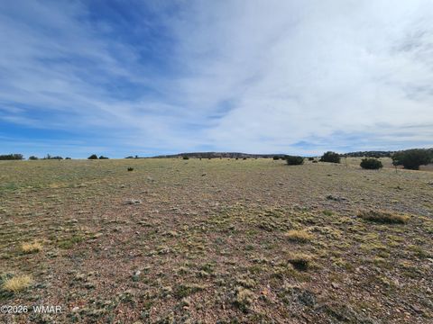 Tiny photo for 1470 E Concho Highway, Concho, AZ 85924 (MLS # 260047)