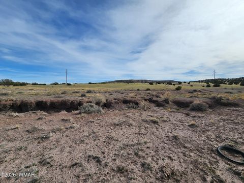 Tiny photo for 1470 E Concho Highway, Concho, AZ 85924 (MLS # 260047)
