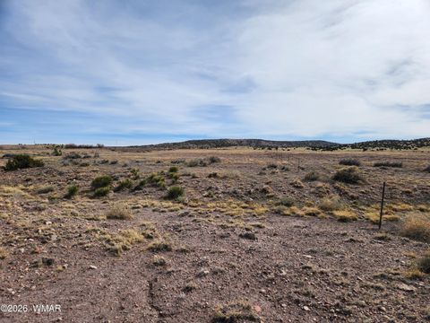 Tiny photo for 1470 E Concho Highway, Concho, AZ 85924 (MLS # 260047)