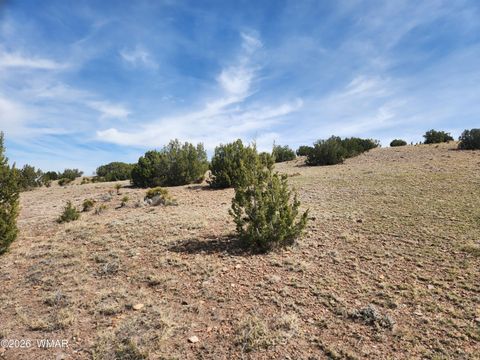 Tiny photo for 1470 E Concho Highway, Concho, AZ 85924 (MLS # 260047)