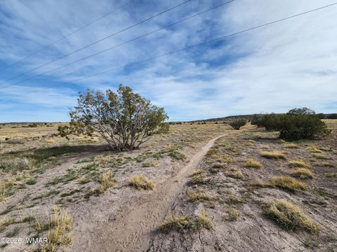 Tiny photo for 1470 E Concho Highway, Concho, AZ 85924 (MLS # 260047)