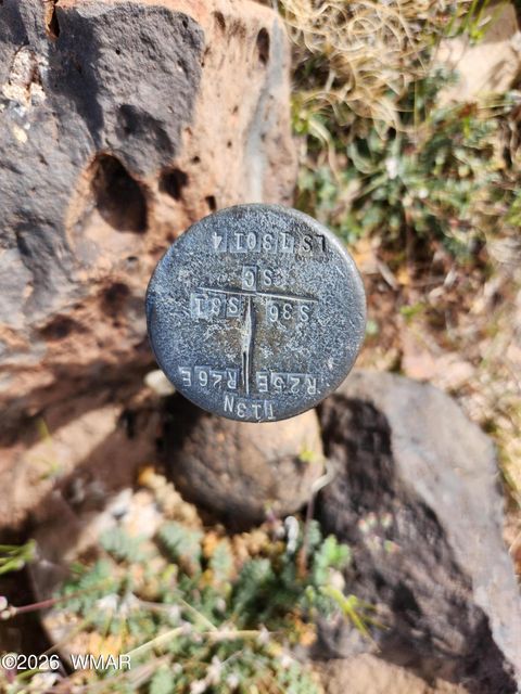 Tiny photo for 1470 E Concho Highway, Concho, AZ 85924 (MLS # 260047)