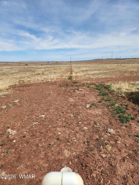 Tiny photo for 1470 E Concho Highway, Concho, AZ 85924 (MLS # 260047)