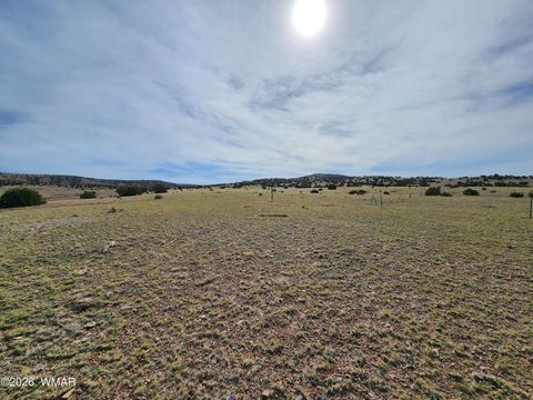 Tiny photo for 1470 E Concho Highway, Concho, AZ 85924 (MLS # 260047)