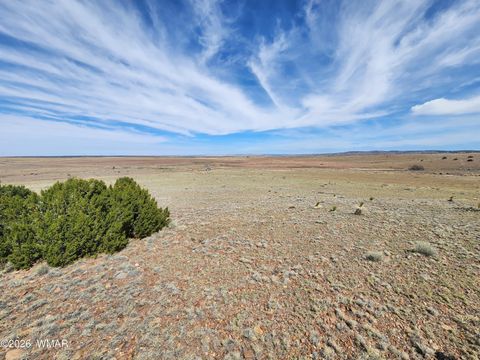 Tiny photo for 1470 E Concho Highway, Concho, AZ 85924 (MLS # 260047)