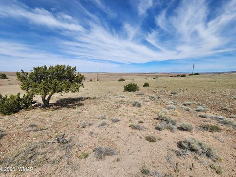 Tiny photo for 1470 E Concho Highway, Concho, AZ 85924 (MLS # 260047)