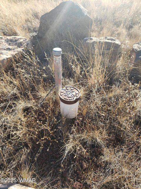 Tiny photo for 1786 Doughty Place, Show Low, AZ 85901 (MLS # 256300)