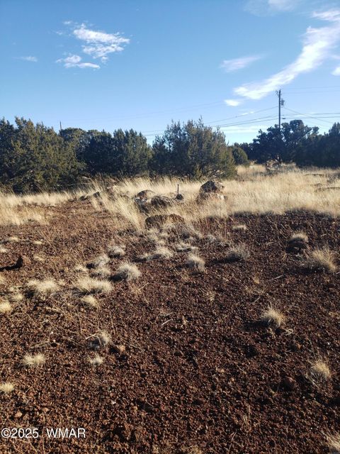 Photo of 1786 Doughty Place, Show Low, AZ 85901 (MLS # 256300)