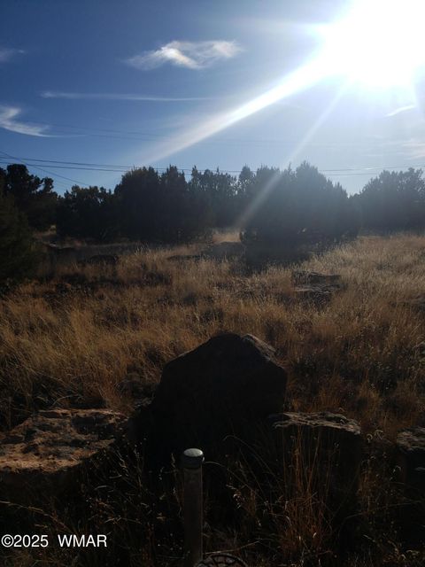 Tiny photo for 1786 Doughty Place, Show Low, AZ 85901 (MLS # 256300)