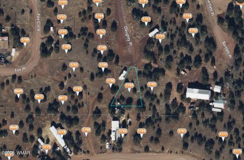 Tiny photo for 1786 Doughty Place, Show Low, AZ 85901 (MLS # 256300)
