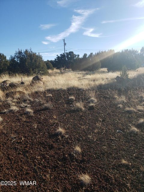 Tiny photo for 1786 Doughty Place, Show Low, AZ 85901 (MLS # 256300)