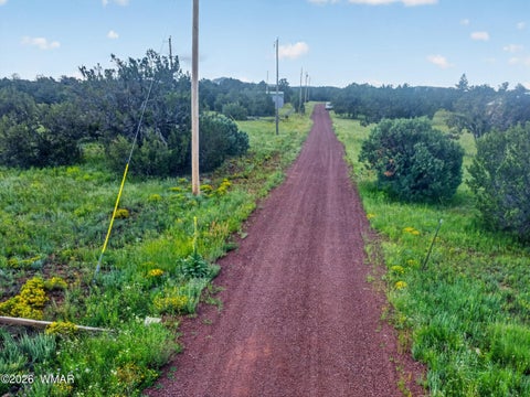 Tiny photo for 35774 Us 60, Vernon, AZ 85940 (MLS # 263065)