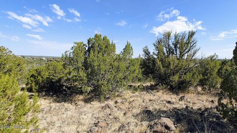 Tiny photo for 1794 Queen Creek Place, Show Low, AZ 85901 (MLS # 256483)