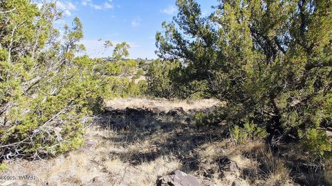 Tiny photo for 1794 Queen Creek Place, Show Low, AZ 85901 (MLS # 256483)