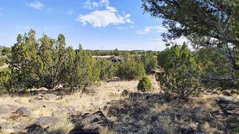 Tiny photo for 1794 Queen Creek Place, Show Low, AZ 85901 (MLS # 256483)