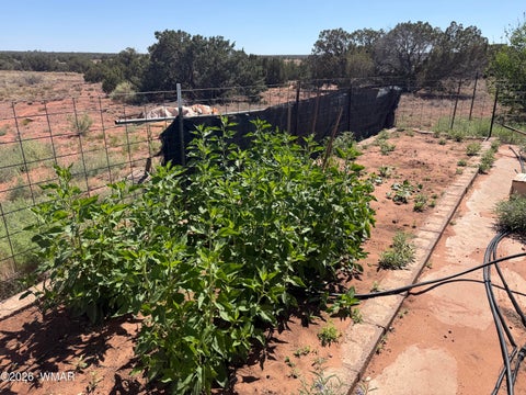 Tiny photo for 10 County Road 5463 Road, Concho, AZ 85924 (MLS # 261691)