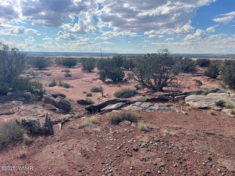 Tiny photo for 51 N9087, Concho, AZ 85924 (MLS # 258980)