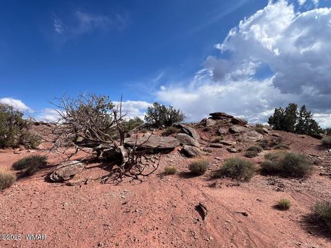 Tiny photo for 51 N9087, Concho, AZ 85924 (MLS # 258980)