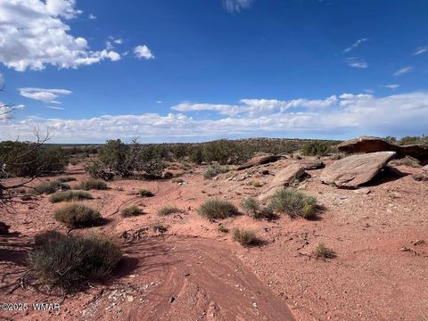 Tiny photo for 51 N9087, Concho, AZ 85924 (MLS # 258980)