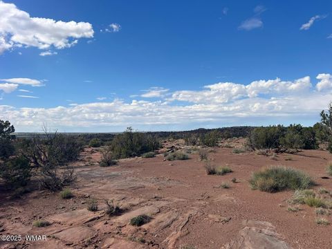 Tiny photo for 51 N9087, Concho, AZ 85924 (MLS # 258980)