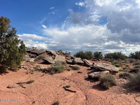 Tiny photo for 51 N9087, Concho, AZ 85924 (MLS # 258980)