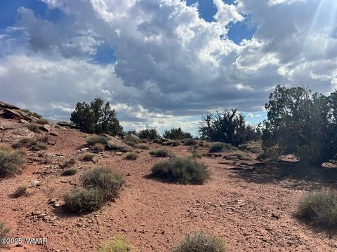 Tiny photo for 51 N9087, Concho, AZ 85924 (MLS # 258980)