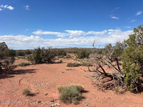 Tiny photo for 51 N9087, Concho, AZ 85924 (MLS # 258980)