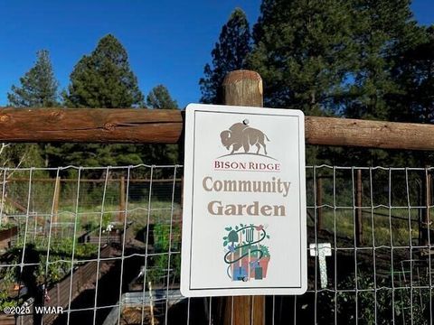 Tiny photo for 4800 W Tatanka Loop, Show Low, AZ 85901 (MLS # 258093)