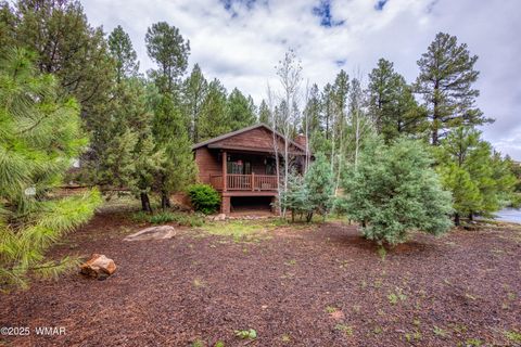Tiny photo for 4800 W Tatanka Loop, Show Low, AZ 85901 (MLS # 258093)