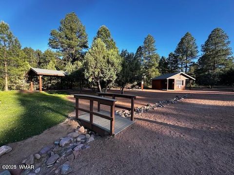 Tiny photo for 4800 W Tatanka Loop, Show Low, AZ 85901 (MLS # 258093)