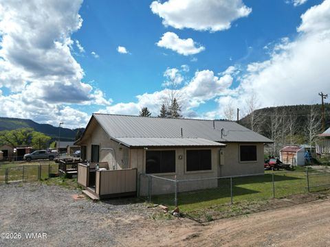 Photo of 19 County Road N2056, Alpine, AZ 85920 (MLS # 260988)