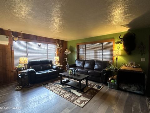 Tiny photo for 19 County Road N2056, Alpine, AZ 85920 (MLS # 260988)