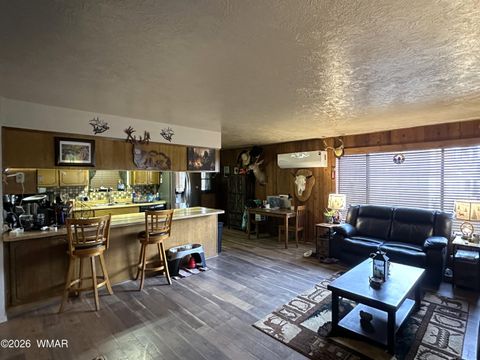 Tiny photo for 19 County Road N2056, Alpine, AZ 85920 (MLS # 260988)