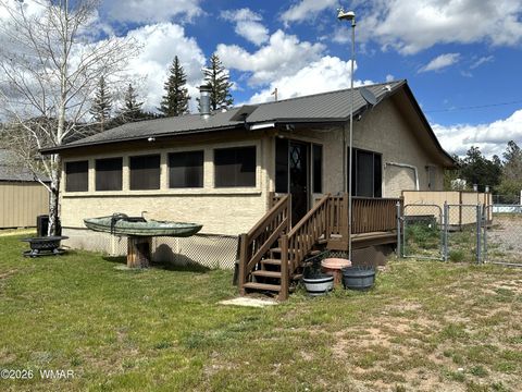 Photo of 19 County Road N2056, Alpine, AZ 85920 (MLS # 260988)