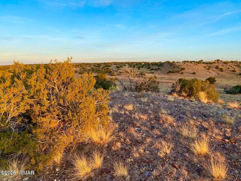 Tiny photo for TBD Co Rd N6659 36.25 Acres, Saint Johns, AZ 85936 (MLS # 259061)