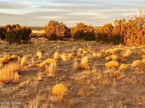 Tiny photo for TBD Co Rd N6659 36.25 Acres, Saint Johns, AZ 85936 (MLS # 259061)