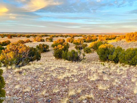 Tiny photo for TBD Co Rd N6659 36.25 Acres, Saint Johns, AZ 85936 (MLS # 259061)