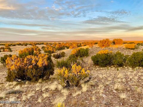 Tiny photo for TBD Co Rd N6659 36.25 Acres, Saint Johns, AZ 85936 (MLS # 259061)
