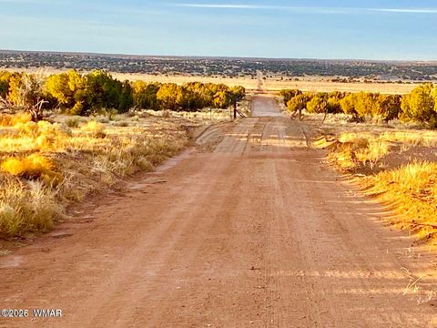 Tiny photo for TBD Co Rd N6659 36.25 Acres, Saint Johns, AZ 85936 (MLS # 259061)