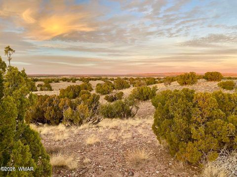 Tiny photo for TBD Co Rd N6659 36.25 Acres, Saint Johns, AZ 85936 (MLS # 259061)