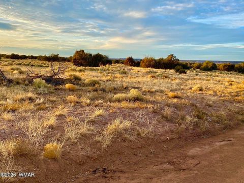Tiny photo for TBD Co Rd N6659 36.25 Acres, Saint Johns, AZ 85936 (MLS # 259061)