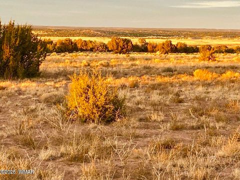 Tiny photo for TBD Co Rd N6659 36.25 Acres, Saint Johns, AZ 85936 (MLS # 259061)