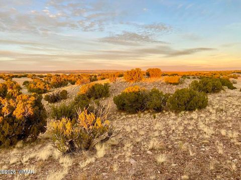 Tiny photo for TBD Co Rd N6659 36.25 Acres, Saint Johns, AZ 85936 (MLS # 259061)