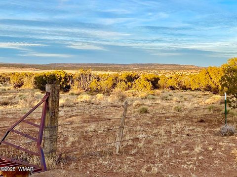 Tiny photo for TBD Co Rd N6659 36.25 Acres, Saint Johns, AZ 85936 (MLS # 259061)